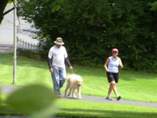 20150624_1345_jtf38_segrists_tresspass_elvis2IMG_2200