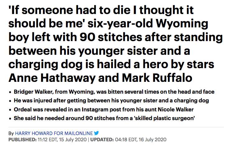  hero_borther6_dog_mauled_saves_sister