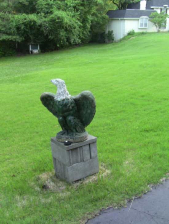 eagle_sIMG_1703