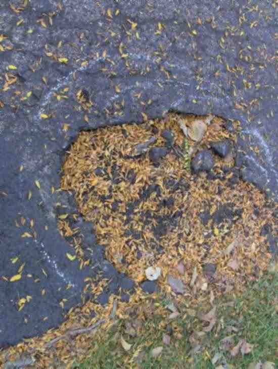 jtfinc_pothole_IMG_2867