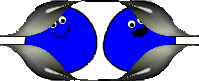 koeye_blobs