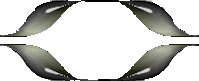 zm