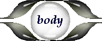 btn_body