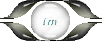 btn_tm_hide