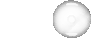 houndsw rabbit