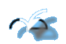           bird2